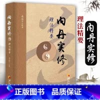 [正版]内丹实修理法精要 存诚子 中国太极拳与古代食疗的知识 保健养生 古代养生智慧 道家养生通俗读物 深入研读丹道书