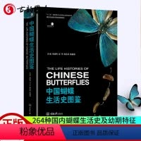 [正版] 中国蝴蝶生活史图鉴 264种国内蝴蝶的生活史及幼期特征 蝴蝶的分类生物学等基础知识 蝴蝶生活史图鉴大全书籍