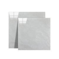 璐盐 瓷砖地砖 300*300mm 块