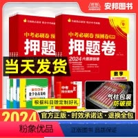 语文 安徽省 [正版]2024新版安徽中考必刷卷押题卷语文数学英语物理化学道德与法治政治历史中考模拟试卷全套真题卷预测卷