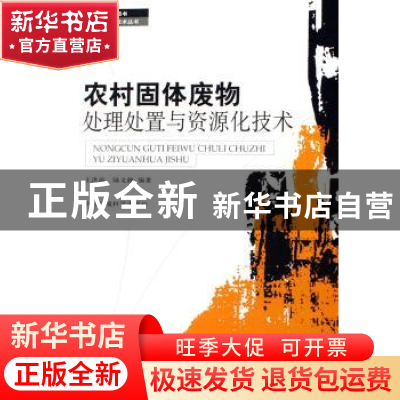 正版 农村固体废物处理处置与资源化技术 王洪涛,陆文静 中国环