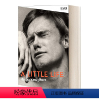 渺小一生 . [正版]A Little Life 小生活 英文原版书 渺小一生 英文版原版小说 布克奖美国国家图书奖入围