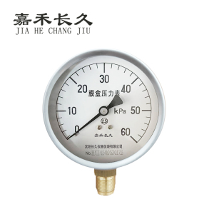 嘉禾长久 膜盒压力表检测型 YE100 块