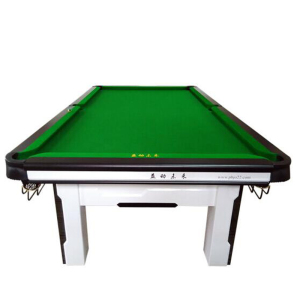 益动未来Q8台球桌 比赛型台球案子 标准成人中式黑八16彩台球桌