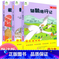 六年级下册[全3本]批注版 [正版]爱德教育快乐读书吧爱丽丝漫游奇境鲁滨逊漂流记骑鹅旅行记小学六6年级下册语文配套阅读指