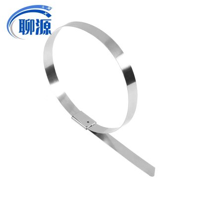 聊源自锁式不锈钢扎带19×1900mm