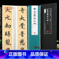 [正版]学海轩共2本赵孟頫胆巴碑名家碑帖近距离临摹卡米字格角注放大原帖临读对照简体旁注赵体楷书毛笔书法字帖字卡入门临摹