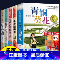 [全5册]宝葫芦+雨来+巨人+海的女儿+青铜 [正版]青铜葵花小英雄雨来曹文轩老师 宝葫芦的秘密四年级下册阅读必读的课外