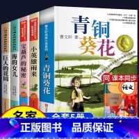 [全5册]宝葫芦+雨来+巨人+海的女儿+青铜 [正版]青铜葵花小英雄雨来曹文轩老师 宝葫芦的秘密四年级下册阅读必读的课外