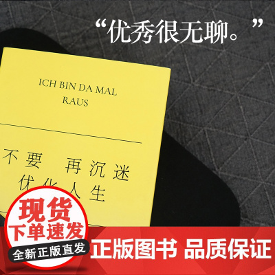 不要再沉迷优化人生了 安德烈娅·格尔克 著 励志与成功