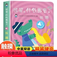 这是什么声音[乐器] [正版]宝宝启蒙触摸乐器发声书儿童早教绘本0到3岁听这是什么声音撕不烂发声书适合一两岁半宝宝看的书