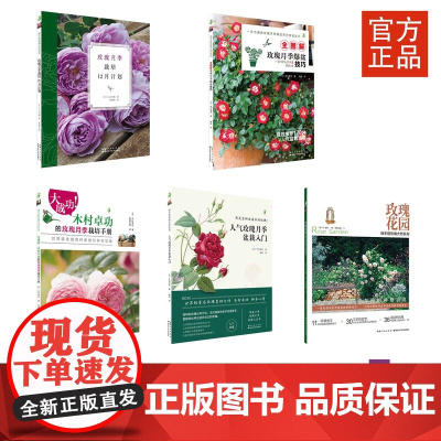 玫瑰大师系列(5本)