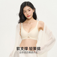 内衣女小胸聚拢显大收副乳防下垂无痕美背文胸罩上托提拉2026新款