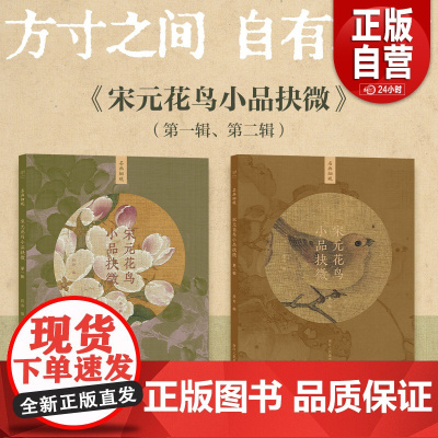 宋元花鸟小品抉微第一辑第二辑 中国历代经典绘画解析传统国画画册页画谱作品集 水墨画工笔写意花鸟绘画技法名画古画临摹鉴赏书