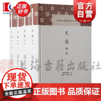 文选译注 中国古代名著全本译注丛书南朝梁萧上海古籍出版社古代文学总集文学名篇古代赋诗文选集另有中国古典文学丛书文选6册