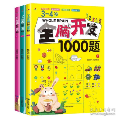正版新书]3-4岁全脑开发1000题全三册桂圆妈妈9787502079031