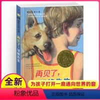 [正版]再见了汉修先生纽伯瑞国际大奖儿童文学小说系列全套集升级版小学生三四五六年级课外阅读经典书籍新蕾出版社目常青藤