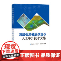 深层低渗储层改造及人工举升技术文集9787511474612深层低渗储层提高采收率技术