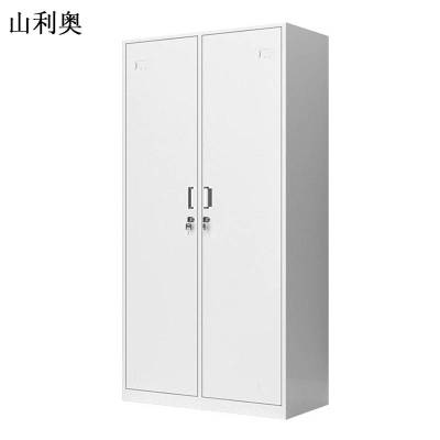 山利奥 两门文件柜 钢制办公室对开门档案资料柜铁皮储物柜财务凭证柜 850* 390* 1800mm 1个