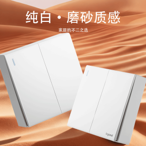 罗格朗 二位单控开关明装 MP/32/1/2C 个