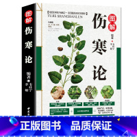 [正版]图解伤寒论 彩图版张仲景原著 中医经典著作 同金匮要略温病条辨黄帝内经中医四大中医养生书籍大全本草纲目中草药医