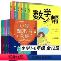 小学整本书阅读+数学帮一课一故事[全12册] 小学通用 [正版]小学整本书阅读 一二三四五六年级小学生阅读基础训练辅导书