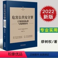 [正版]2022新 危害公共安全罪立案追诉标准与疑难指导 缪树权 著 刑法罪名犯罪构成案件办案依据刑事实务立案追诉标准