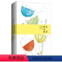 [正版]孙犁精选集 世纪文学经典精装版