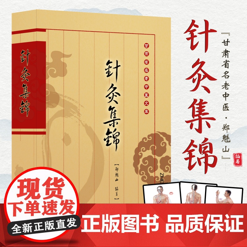 针灸集锦 中医穴位辨证施治脏腑经络针灸疗法临床常见诊疗参考教材 名老中医郑魁山编著 针灸综合疗法 平衡针刀十八术式 十三