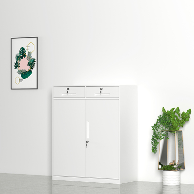 臻远 文件柜办公柜钢制铁皮柜资料档案储物柜拆装窄边柜纯白色加厚款 二斗下节矮柜