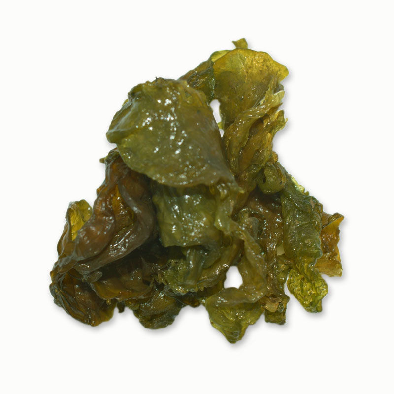 赛卡伊 [产地直发]甘肃深山纯地皮菜地达菜雷公菌干净货