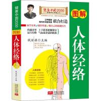 正版新书]图解人体经络钱丽旗9787510147692
