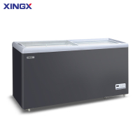星星(XINGX)SD/SC-1030B商用展示柜玻璃门冷藏冷冻单温转换卧式冰柜超市便利店海鲜雪糕展示雪糕速冻冷冻柜