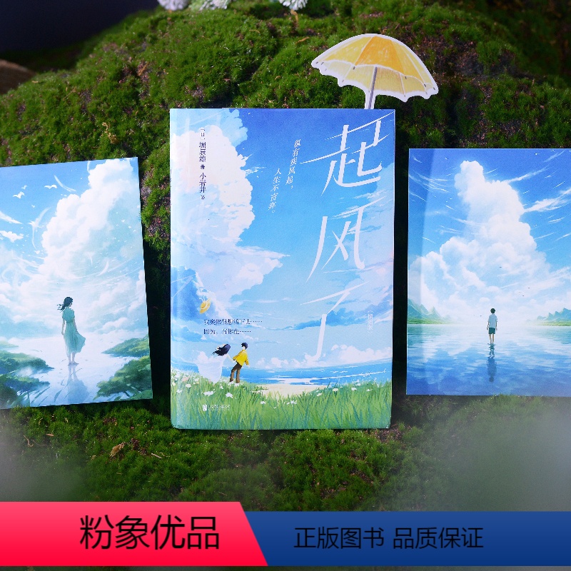 [正版]起风了 附赠雨伞书签 明信片 宫崎骏封笔之作 原著小说 小岩井倾情全译 感动千万人的爱与思念 图书 书籍