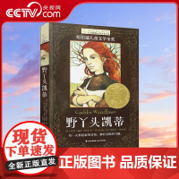 [央视网]长青藤国际大奖小说 第十三辑 野丫头凯蒂 每一天都是新的冒险 都有无限的可能TY