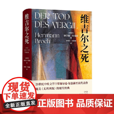 维吉尔之死 赫尔曼·布洛赫 著 小说