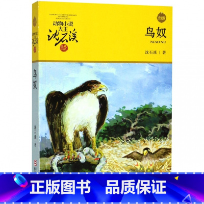 [正版]BK鸟奴(升级版)/动物小说大王沈石溪品藏书系