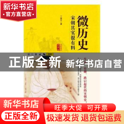 正版 微历史:宋朝其实很有料 丁振宇著 北京工业大学出版社 9787