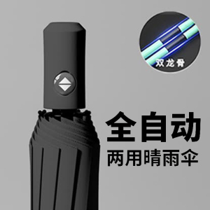 自动伞012