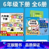 6年级下 语数英+专项训练 小学通用 [正版]2024一卷搞定五年级上沪教版一二年级三四六年级七八九年级上下册第6版语文