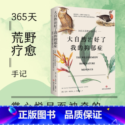 [正版]书店大自然治好了我的抑郁症(365天荒野疗愈手记) 艾玛·米切尔著 一条找回宁静的自然疗愈之路 小红书同款