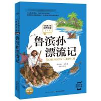 鲁滨孙漂流记
