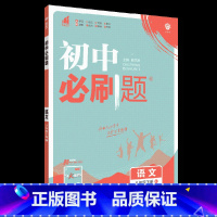 语文 八年级下 [正版]2023春初中数学八年级下册人教北师外研版 初二语文英语同步训练习册8年级物理化学生物历史地理讲