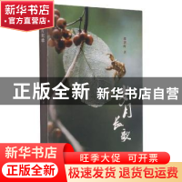 正版 岁月长歌 郭朝晖 江苏文艺出版社 9787559453617 书籍