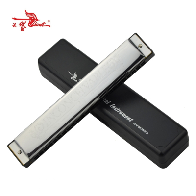 天鹅(TianE)Swan24孔复音口琴ABCDEFG调口琴初学者学生演奏款12调