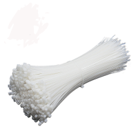 尼龙扎带 国标 10*1200mm 100条 包
