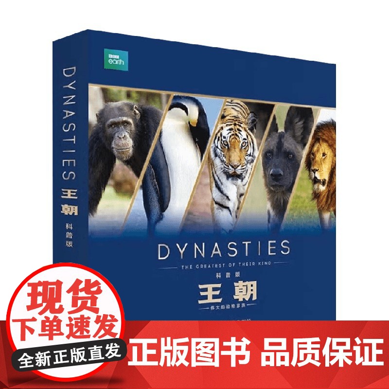 BBC王朝 少儿科普版 5册 6-12岁 丽莎·里根 著 儿童人文百科经典 温情科普读物 博思星球 科普百科