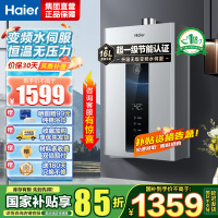 海尔(Haier)燃气热水器天然气水伺服恒温家用智能变升多重安防健康洗APP智能节能省气16L [WM5pro]