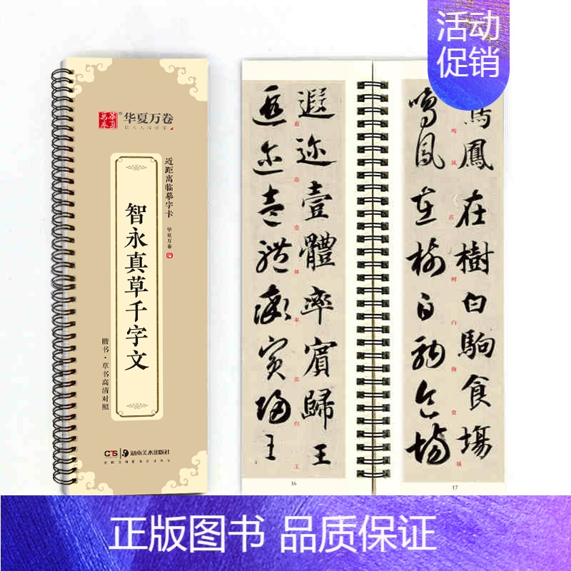 [正版]单本华夏万卷 毛笔近距离临摹字卡智永真草千字文墨迹本草书行草高清还原临帖练字帖教程