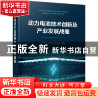 正版 动力电池技术创新及产业发展战略(精) 杨全红,李泓,陈立泉